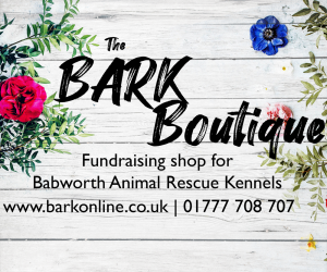 BARK Boutique Pop Up Shop for Babworth Animal Rescue Kennels (BARK) 